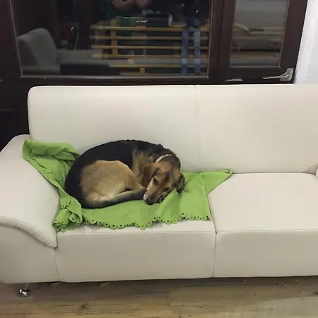 Hotel Styrolerhof 3*