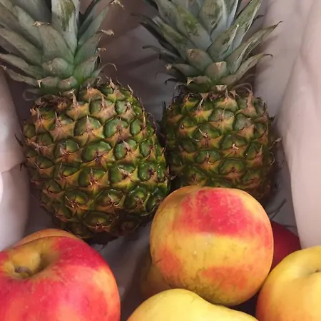 Hotel Styrolerhof Steeg