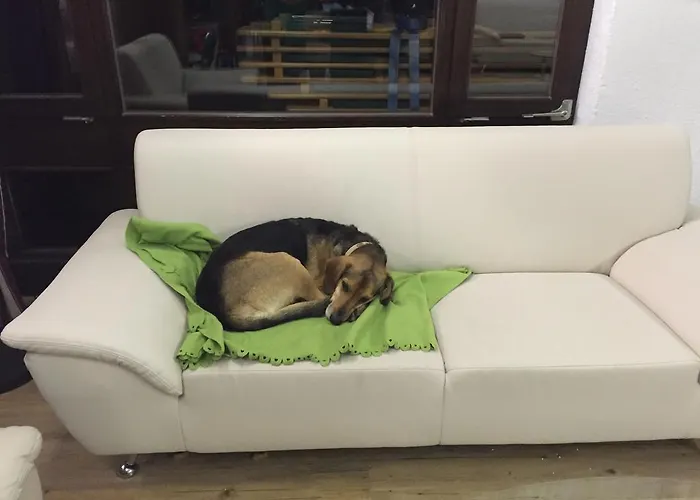 Hotel Styrolerhof 3*