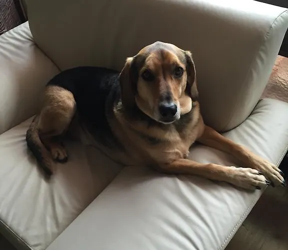 Styrolerhof Ξενοδοχείο