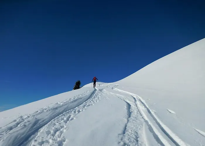 Styrolerhof 3* Steeg