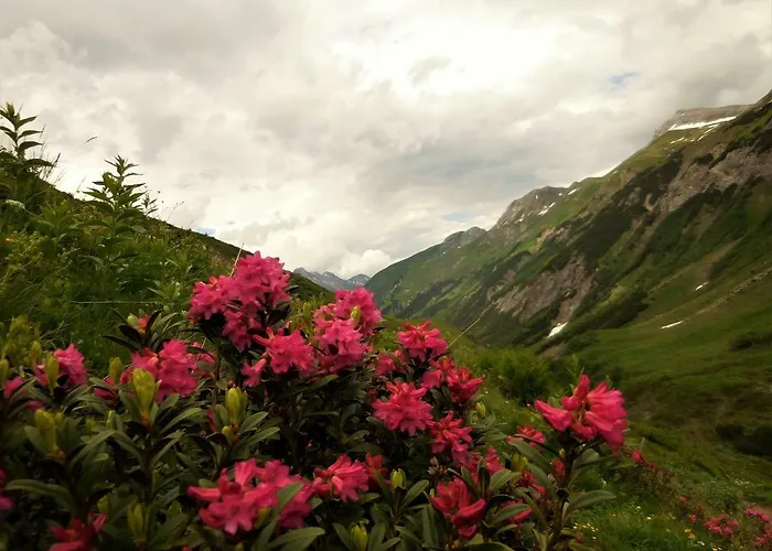 Styrolerhof 3* Steeg