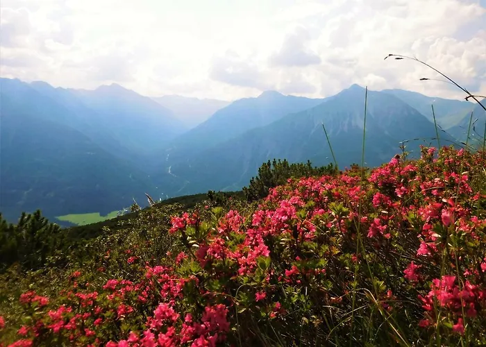 Ξενοδοχείο Styrolerhof 3*