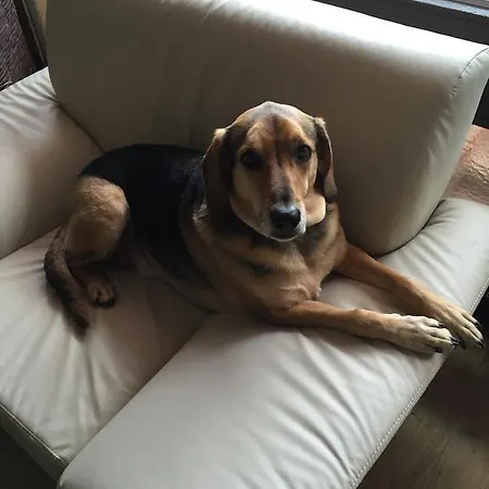 Styrolerhof Отель