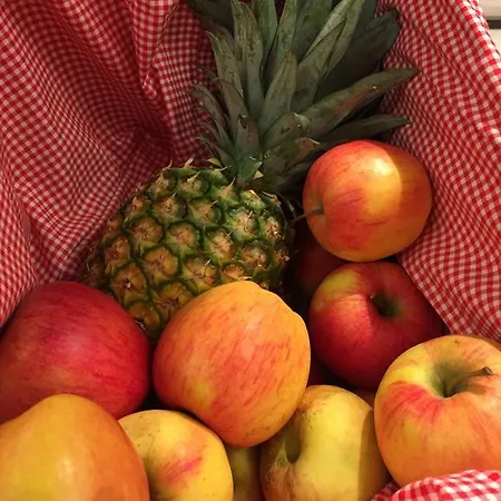 Отель Styrolerhof 3*