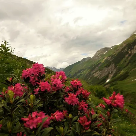 Styrolerhof 3* Steeg