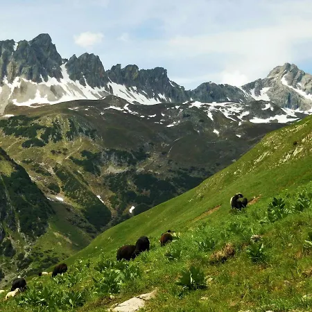 Styrolerhof 3* Steeg