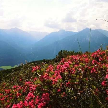 Отель Styrolerhof 3*