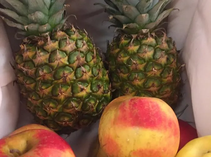 Otel Styrolerhof Steeg